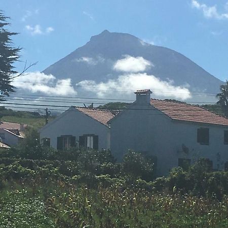 Home Pico - Casa Dos Cedros Criacao Velha 外观 照片
