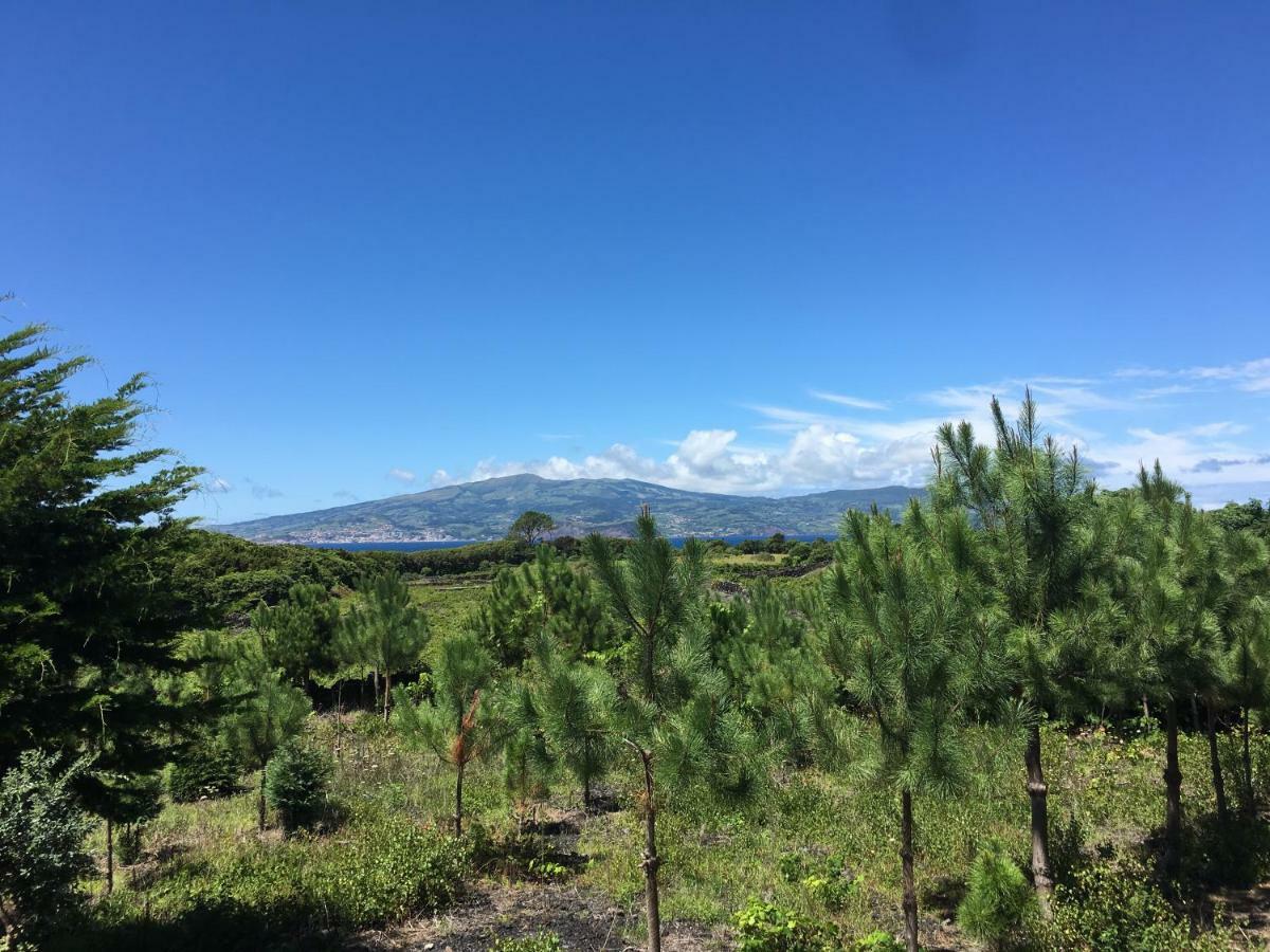 Home Pico - Casa Dos Cedros Criacao Velha 外观 照片